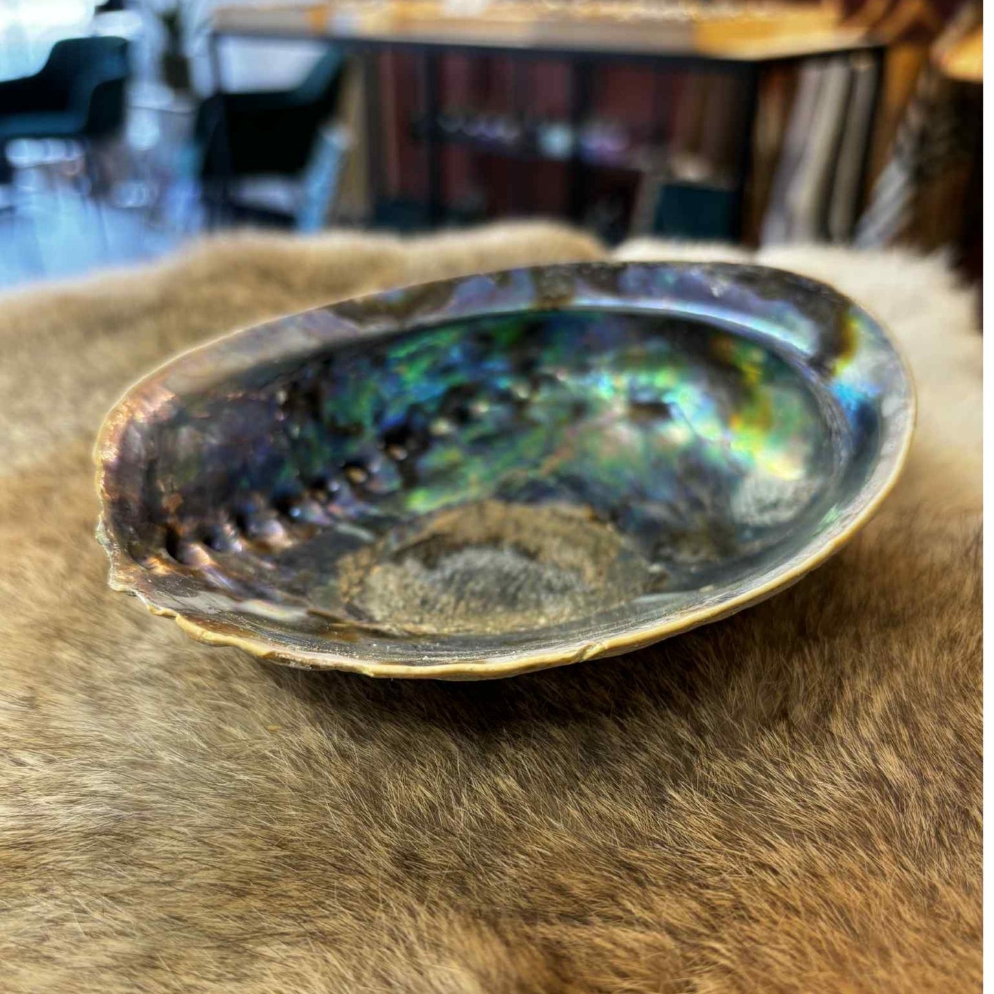 Regenboog Abalone Schelp